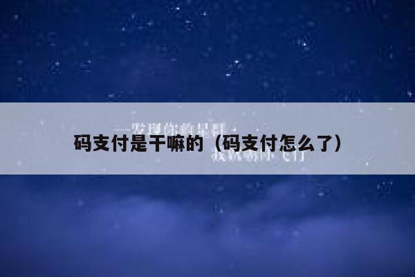 码支付是干嘛的（码支付怎么了） 第1张