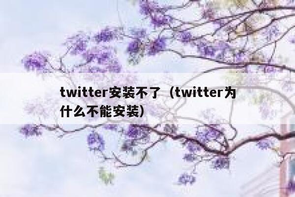 twitter安装不了（twitter为什么不能安装） 第1张