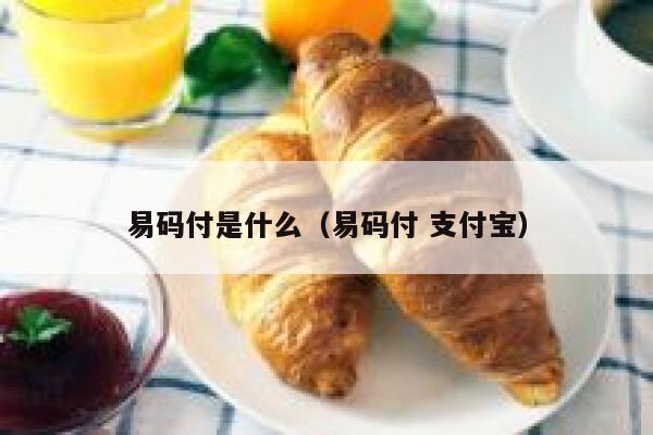 易码付是什么(易码付 支付宝) 第1张 易码付是什么(易码付 支付宝) 第1张