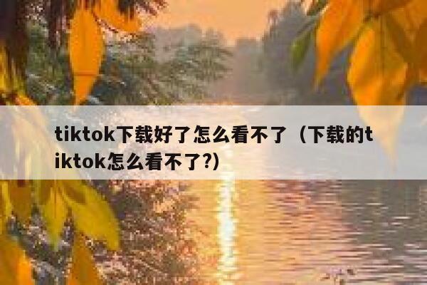 tiktok下载好了怎么看不了（下载的tiktok怎么看不了?） 第1张