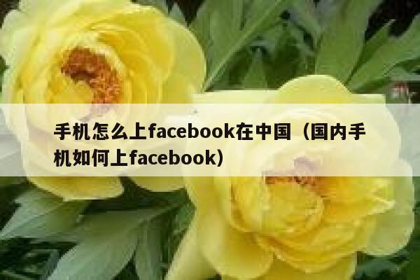 手机怎么上facebook在中国（国内手机如何上facebook） 第1张