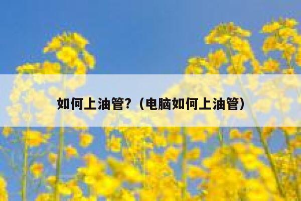 如何上油管?(电脑如何上油管) 第1张 如何上油管?(电脑如何上油管) 第1张