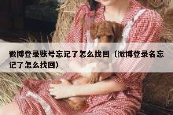 微博登录账号忘记了怎么找回（微博登录名忘记了怎么找回） 第1张