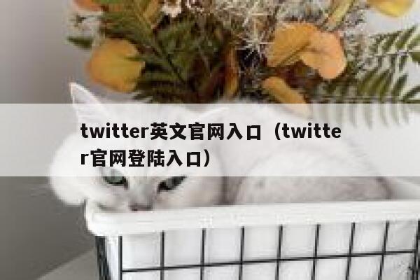 twitter英文官网入口（twitter官网登陆入口） 第1张