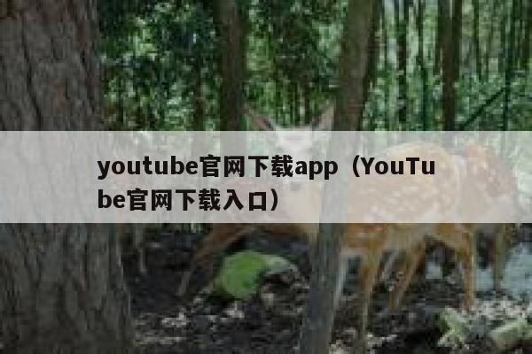youtube官网下载app（YouTube官网下载入口） 第1张