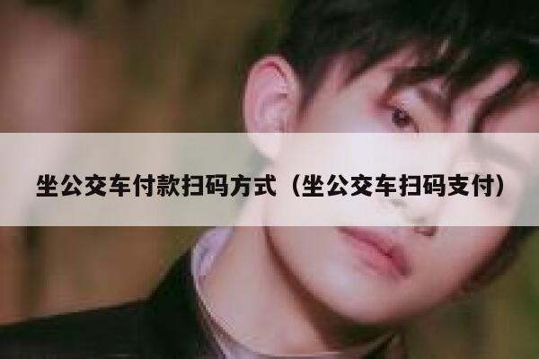 坐公交车付款扫码方式（坐公交车扫码支付） 第1张