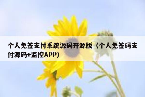 个人免签支付系统源码开源版（个人免签码支付源码+监控APP） 第1张