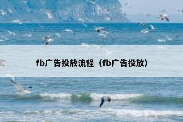 fb广告投放流程（fb广告投放） 第1张