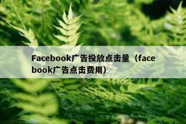 Facebook广告投放点击量（facebook广告点击费用） 第1张
