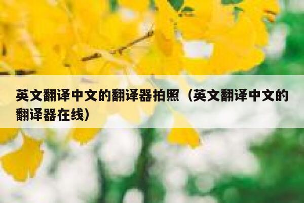 英文翻译中文的翻译器拍照（英文翻译中文的翻译器在线） 第1张