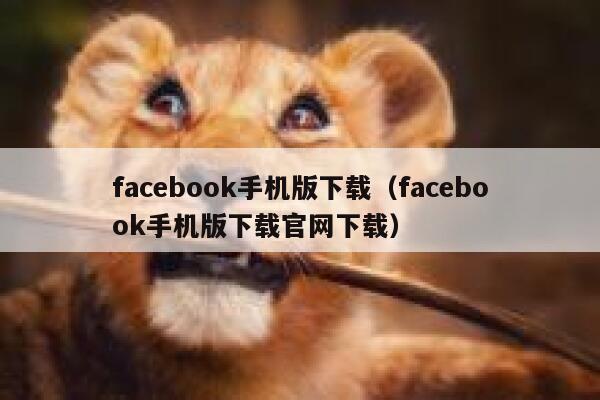 facebook手机版下载（facebook手机版下载官网下载） 第1张