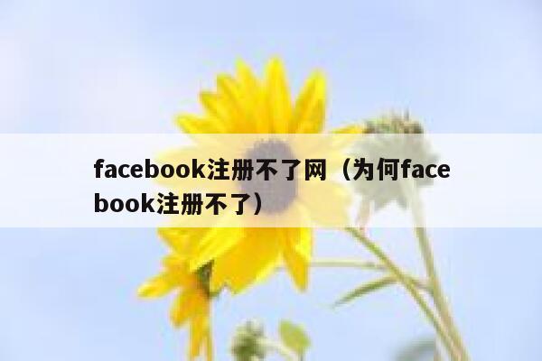 facebook注册不了网（为何facebook注册不了） 第1张