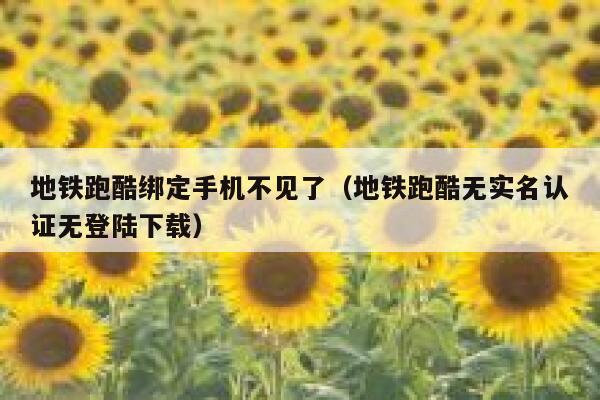 地铁跑酷绑定手机不见了(地铁跑酷无实名认证无登陆下载) 第1张 地铁跑酷绑定手机不见了(地铁跑酷无实名认证无登陆下载) 第1张