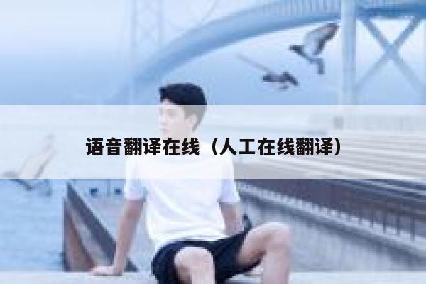 语音翻译在线(人工在线翻译) 第1张 语音翻译在线(人工在线翻译) 第1张
