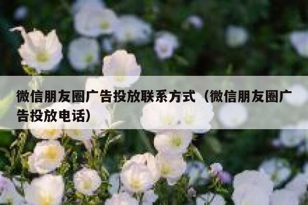 微信朋友圈广告投放联系方式（微信朋友圈广告投放电话） 第1张