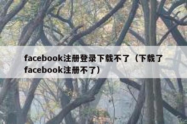 facebook注册登录下载不了（下载了facebook注册不了） 第1张