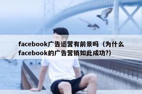 facebook广告运营有前景吗(为什么facebook的广告营销如此成功?) 第1张 facebook广告运营有前景吗(为什么facebook的广告营销如此成功?) 第1张