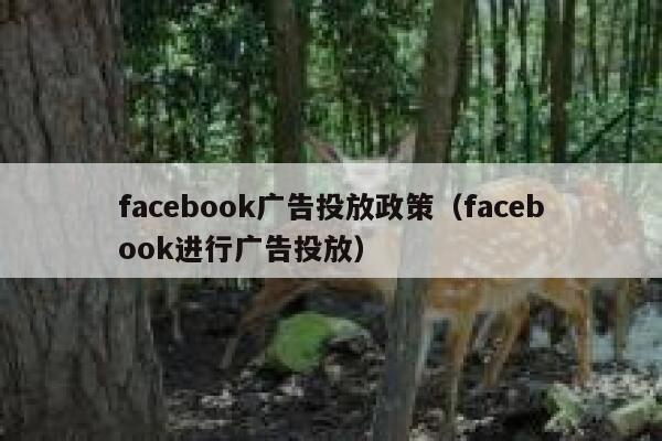 facebook广告投放政策（facebook进行广告投放） 第1张