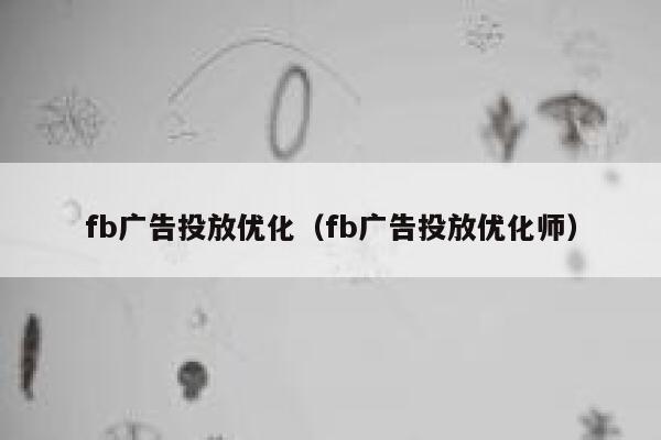 fb广告投放优化（fb广告投放优化师） 第1张