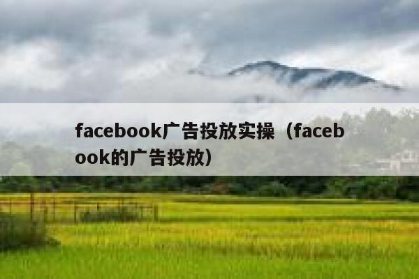 facebook广告投放实操(facebook的广告投放) 第1张 facebook广告投放实操(facebook的广告投放) 第1张