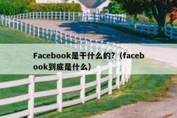Facebook是干什么的?（facebook到底是什么） 第1张