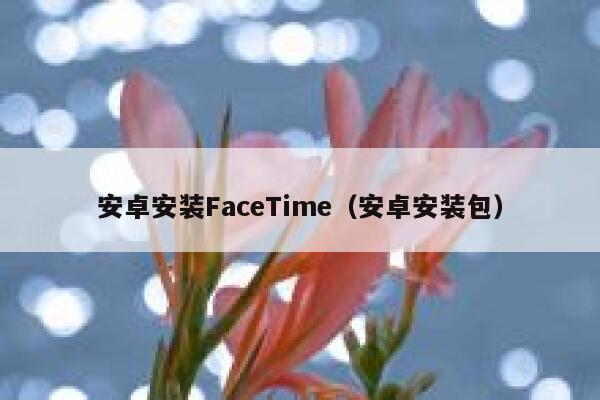 安卓安装FaceTime(安卓安装包) 第1张 安卓安装FaceTime(安卓安装包) 第1张