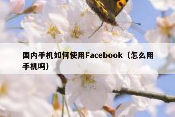 国内手机如何使用Facebook（怎么用手机吗） 第1张