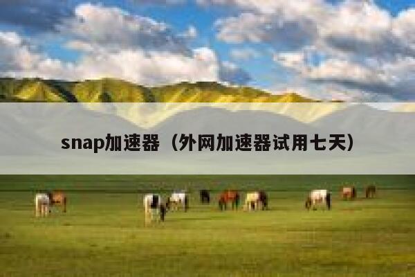 snap加速器（外网加速器试用七天） 第1张