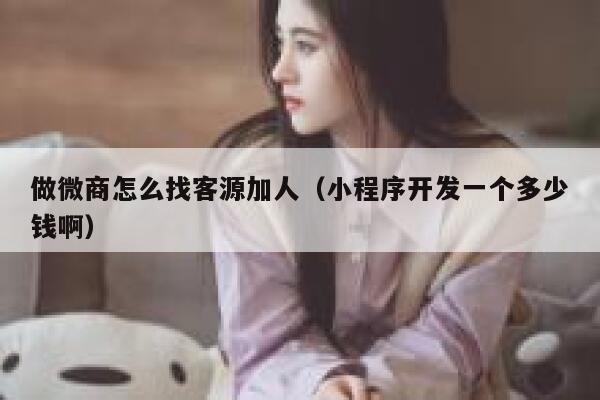 做微商怎么找客源加人（小程序开发一个多少钱啊） 第1张