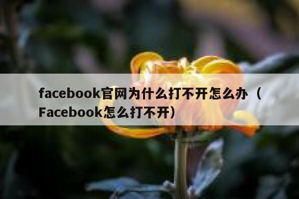 facebook官网为什么打不开怎么办（Facebook怎么打不开） 第1张