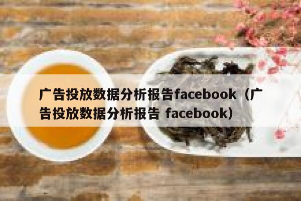 广告投放数据分析报告facebook（广告投放数据分析报告 facebook） 第1张