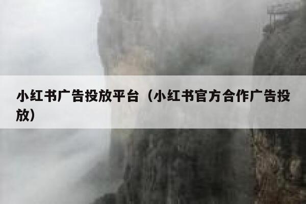 小红书广告投放平台（小红书官方合作广告投放） 第1张