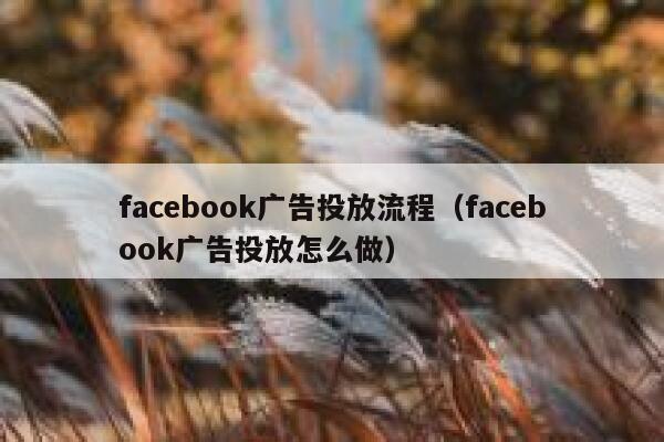 facebook广告投放流程（facebook广告投放怎么做） 第1张