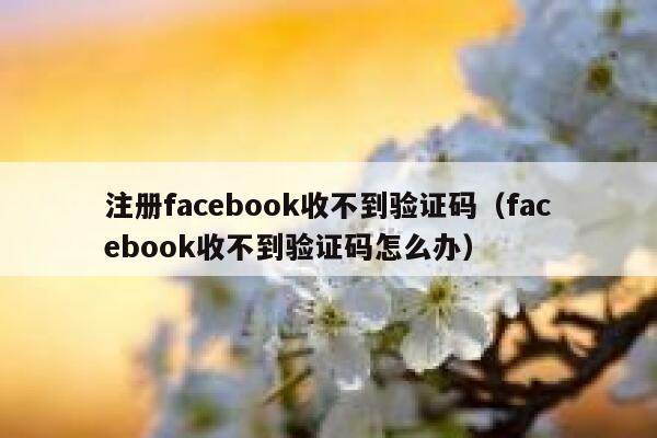 注册facebook收不到验证码（facebook收不到验证码怎么办） 第1张