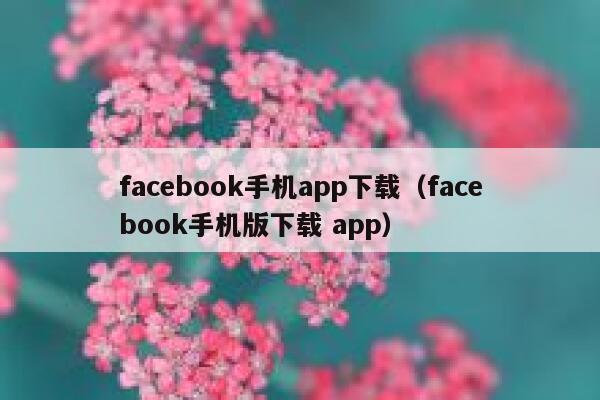 facebook手机app下载（facebook手机版下载 app） 第1张