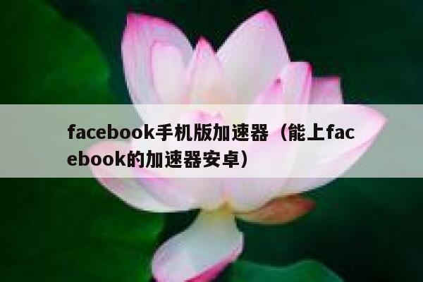 facebook手机版加速器（能上facebook的加速器安卓） 第1张