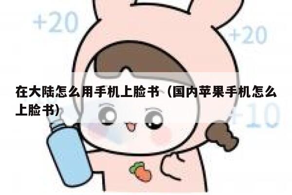 在大陆怎么用手机上脸书（国内苹果手机怎么上脸书） 第1张