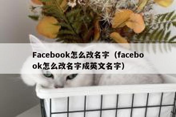 Facebook怎么改名字（facebook怎么改名字成英文名字） 第1张
