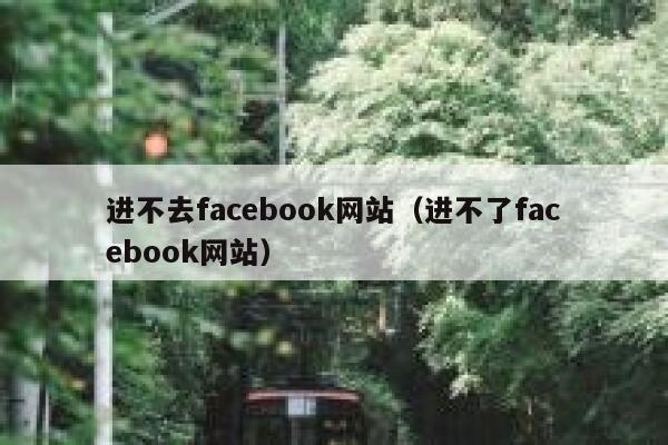 进不去facebook网站（进不了facebook网站） 第1张