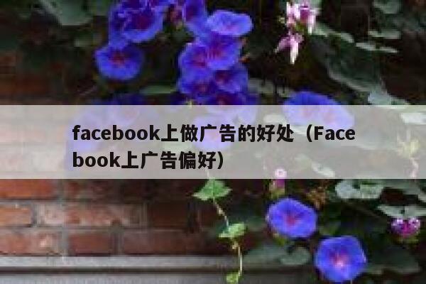 facebook上做广告的好处(Facebook上广告偏好) 第1张 facebook上做广告的好处(Facebook上广告偏好) 第1张