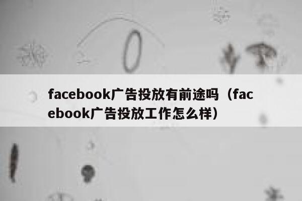 facebook广告投放有前途吗(facebook广告投放工作怎么样) 第1张 facebook广告投放有前途吗(facebook广告投放工作怎么样) 第1张