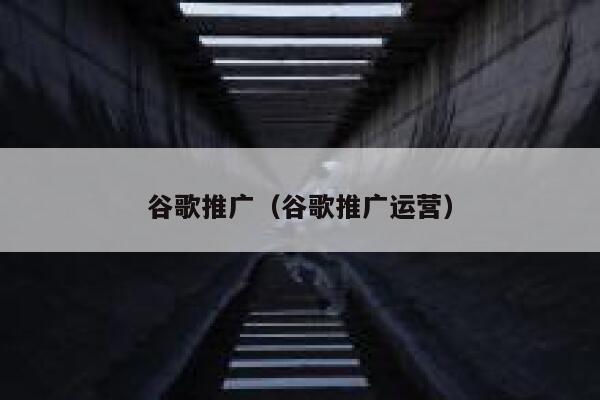 谷歌推广（谷歌推广运营） 第1张