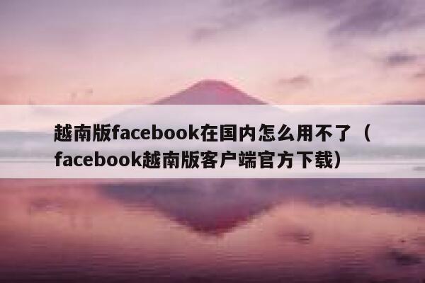 越南版facebook在国内怎么用不了（facebook越南版客户端官方下载） 第1张
