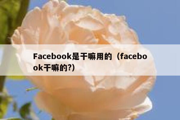 Facebook是干嘛用的(facebook干嘛的?) 第1张 Facebook是干嘛用的(facebook干嘛的?) 第1张