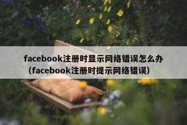 facebook注册时显示网络错误怎么办（facebook注册时提示网络错误） 第1张