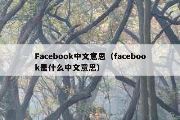 Facebook中文意思（facebook是什么中文意思） 第1张