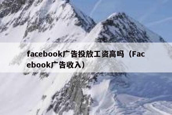 facebook广告投放工资高吗（Facebook广告收入） 第1张