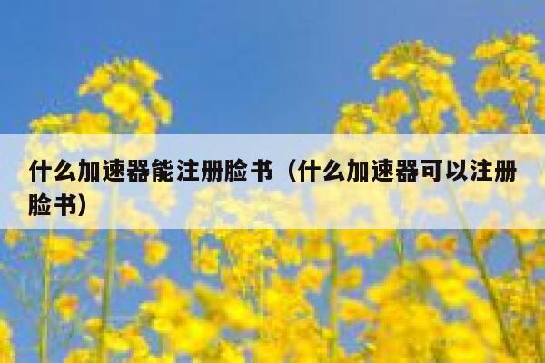 什么加速器能注册脸书（什么加速器可以注册脸书） 第1张
