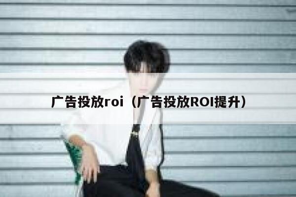 广告投放roi（广告投放ROI提升） 第1张