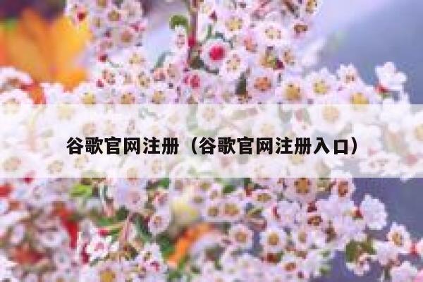 谷歌官网注册（谷歌官网注册入口） 第1张